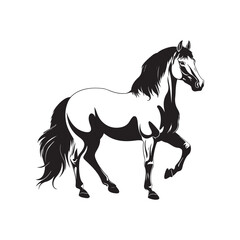 Obraz na płótnie Canvas Horse Image Vector