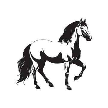 Horse Image Vector