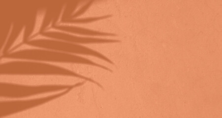 Shadow leaf dypsis on Peach Fuzz color wall. Peach Fuzz Pantone color of the year 2024. Monochrome background.