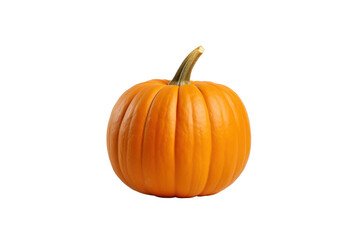Obraz premium lonely pumpkin