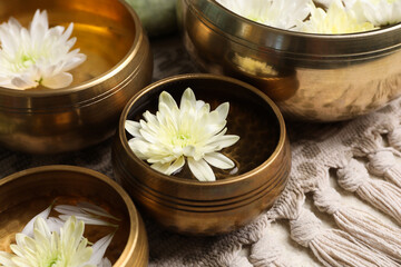 Tibetan singing bowls with water and beautiful chrysanthemum flowers on table, closeup