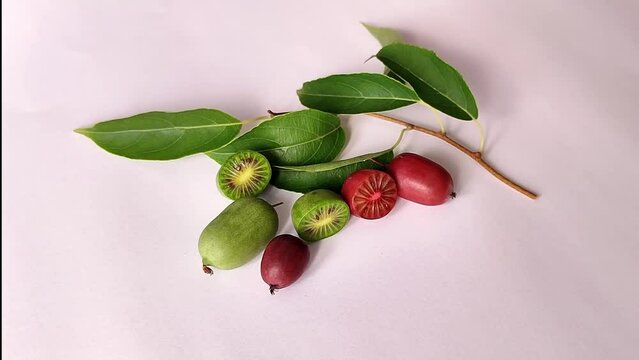 Actinidia arguta mini kiwi small green fruit
