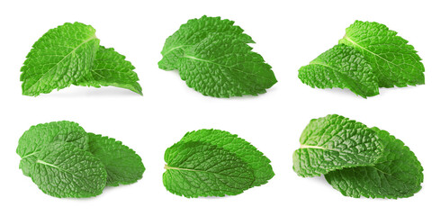 Many fresh mint leaves isolated on white