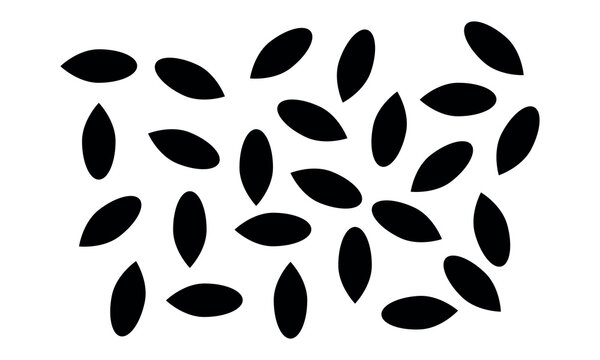 Watermelon seeds Vector and Clip Art