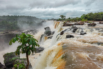 Vista panorámica de las cataratas de Iguazú en Argentina con una gran presencia de agua en temporada de lluvias