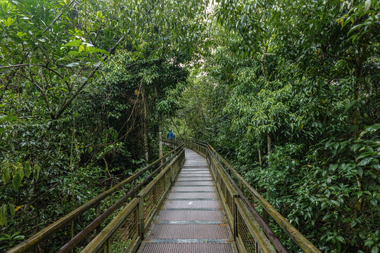 Camino de la pasarela de senderismo dentro del Parque de las cataratas de Iguazú en Argentina