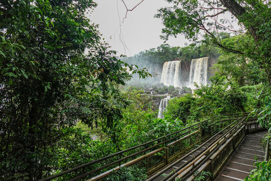 Cataratas de Iguaz&uacute; desde el lado argentino rodeados de naturaleza y con presencia de muchos &aacute;rboles