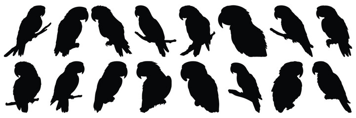 Parrot tropic silhouettes set, large pack of vector silhouette design, isolated white background