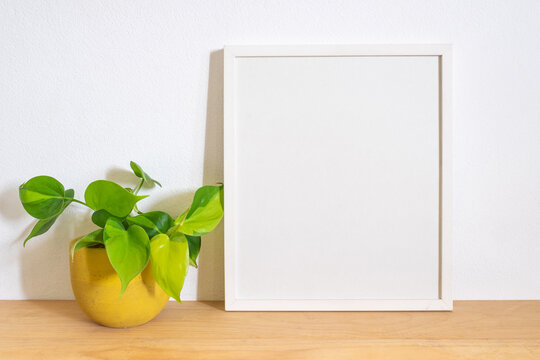 white frame picture with plant in room