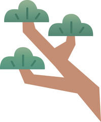 traditional pine tree