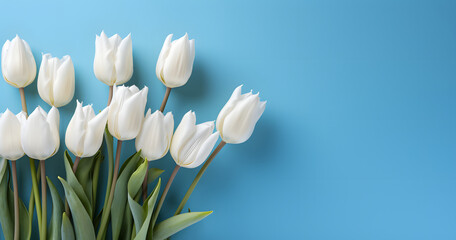 a bunch of white tulips on a blue background