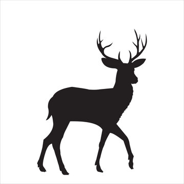Vector Illustration of a deer Silhouette on a white background
