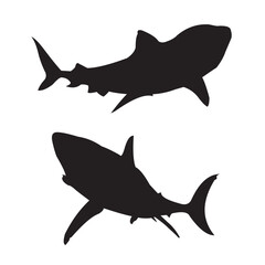 Vector Illustration of a shark Silhouette on a white background