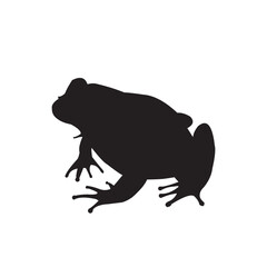 Vector Illustration of a frog Silhouette on a white background
