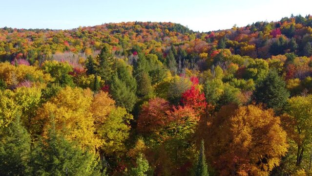 Aerial views of colorful autumn leaves of yellow, green, and red paint the forest in Montreal, Canada