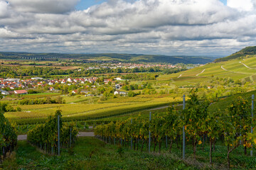 Weinberge bei Thüngersheim am Main, Landkreis Main-Spessart, Unterfranken, Bayern, Deutschland