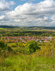 Fototapeta na wymiar Blick von den Weinbergen auf Thüngersheim am Main, Landkreis Main-Spessart, Unterfranken, Bayern, Deutschland