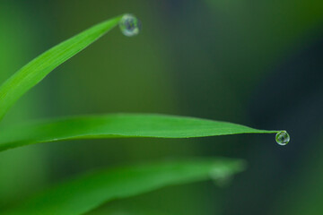 Life nature, Drop water heal