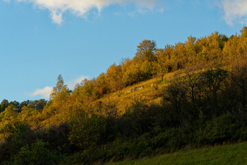  Landschaft im NSG Trockengebiete bei Machtilshausen,  Landkreis Bad Kissingen, Unterfranken, Franken, Bayern, Deutschland