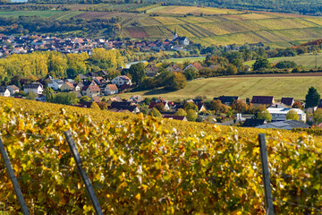  Landschaft und Weinberge bei Wipfeld, Landkreis Schweinfurt, Unterfranken, Franken, Bayern, Deutschland