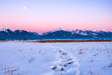 Bright Moonlight Over Mountain Valley