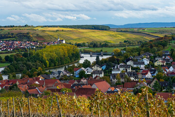 Blick von den Weinbergen bei Wipfeld über den Main zum Weinort Stammheim und seine Weinberge,...