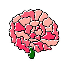 carnation blossom spring color icon vector. carnation blossom spring sign. isolated symbol illustration