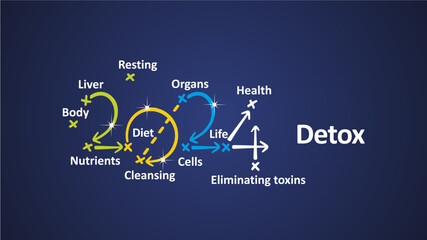 Detox 2024 new year word cloud text with handwritten colorful strategy arrows in shape of 2024 on board. New Year white blue background vector
