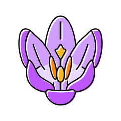 crocus flower spring color icon vector. crocus flower spring sign. isolated symbol illustration