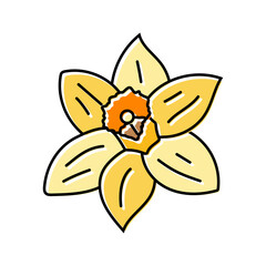 daffodil flower spring color icon vector. daffodil flower spring sign. isolated symbol illustration