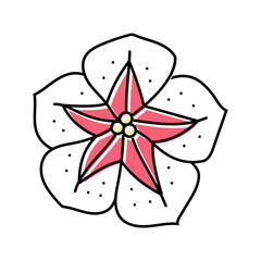 petunia flower spring color icon vector. petunia flower spring sign. isolated symbol illustration