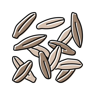 cumin food herb color icon vector. cumin food herb sign. isolated symbol illustration