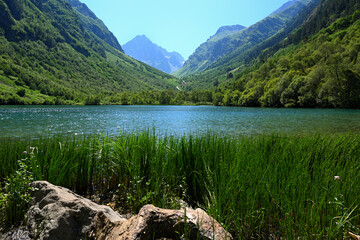 Summer landscape with lake in mountains