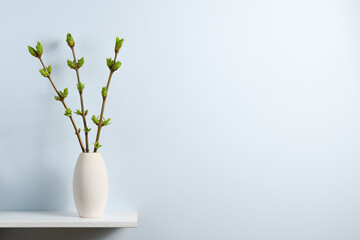Branches with green spring buds in vase on shelf near blue wall with text space - obrazy, fototapety, plakaty