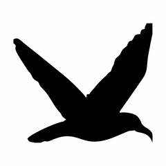 silhouette of a black bird in flight