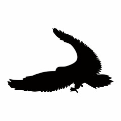 silhouette of a black bird in flight