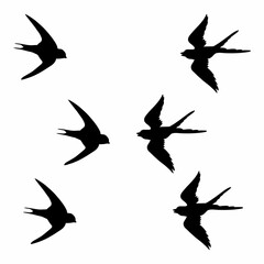 silhouette of a black bird in flight