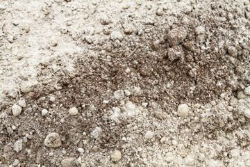 dolomite flour was poured onto the surface of the soil