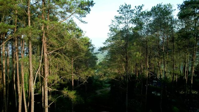 aerial view of the natural atmosphere in the hills and forests of Agam district, West Sumatra