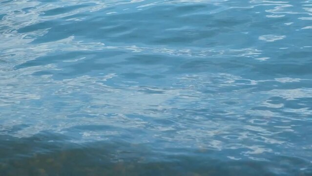 Shallow Water surface texture loop , sun shine natural clear blue water, HD, slow motion.
