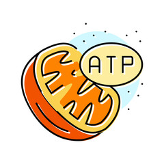 cellular respiration biochemistry color icon vector. cellular respiration biochemistry sign. isolated symbol illustration