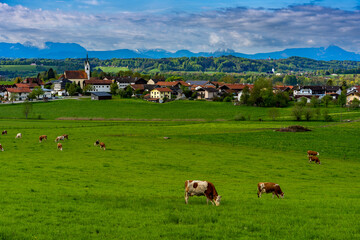 Die sch&ouml;ne Bayerische Landschaft mit Sicht auf die Alpen und das kleine Dorf Taching am See