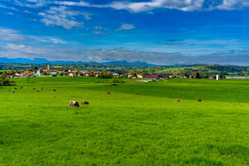 Die schöne Bayerische Landschaft mit Sicht auf die Alpen und das kleine Dorf Taching am See