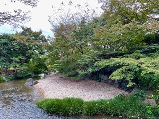 公園の庭園で見る新緑に包まれた小川
