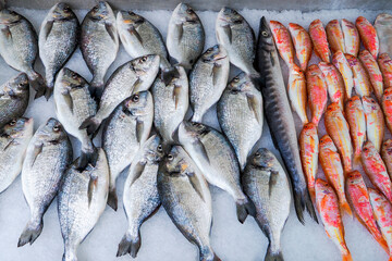 Seafood prepared for sale at the fish market in Kusudasi. Türkiye