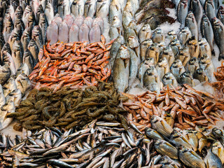 Seafood prepared for sale at the fish market in Kusudasi. Türkiye