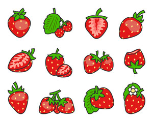 Strawberry summer fruit. Natural food, organic dessert sweet, fresh berry. Hand drawn style. Vector drawing. Collection of design elements.