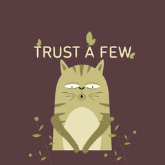 kitten T shirts designs and typography designs