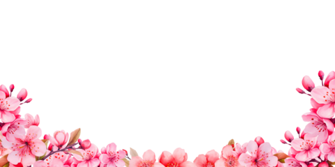 pink cherry blossom border in watercolor on a transparent background