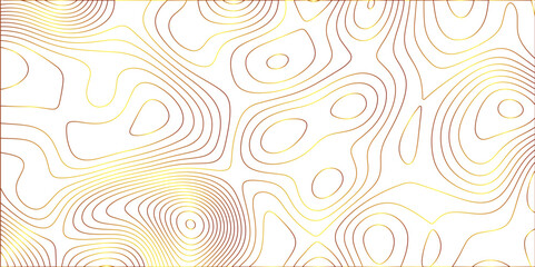 Fototapeta na wymiar Abstract white background with gradient golden line Topographic map pattern. Contour elevation topographic and textured Background Modern design with White background with topographic wavy patte.